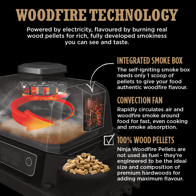 Ninja Woodfire Outdoor Oven Cookbook for Beginners: 2000 Days Fast